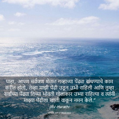 Picture 03 - उत्पत्ति 37:7 MARIRV - पाहा, आपण सर्वजण - Bible Verse Picture