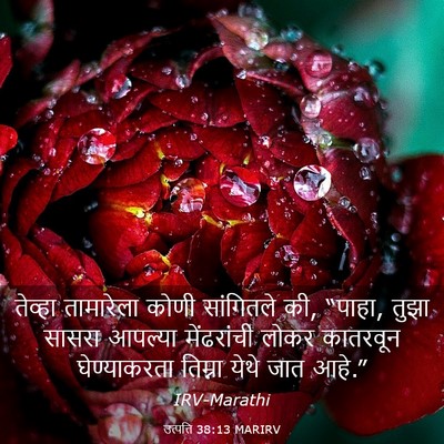 Picture 03 - उत्पत्ति 38:13 MARIRV - तेव्हा तामारेला - Bible Verse Picture