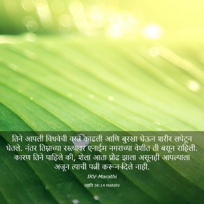 Picture 03 - उत्पत्ति 38:14 MARIRV - तिने आपली विधवेची - Bible Verse Picture