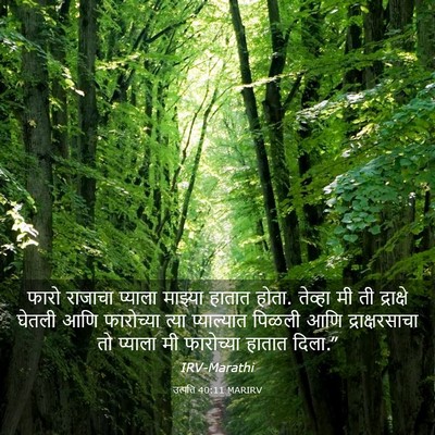 Picture 03 - उत्पत्ति 40:11 MARIRV - फारो राजाचा - Bible Verse Picture
