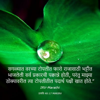 Picture 03 - उत्पत्ति 40:17 MARIRV - सगळ्यात वरच्या - Bible Verse Picture