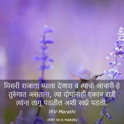 Picture 03 - उत्पत्ति 40:5 MARIRV - मिसरी राजाला - Bible Verse Picture