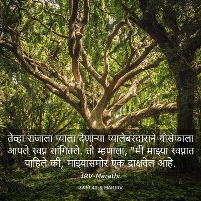 Picture 03 - उत्पत्ति 40:9 MARIRV - तेव्हा राजाला - Bible Verse Picture