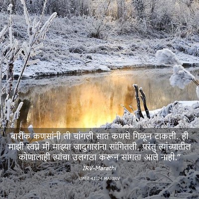 Picture 03 - उत्पत्ति 41:24 MARIRV - बारीक कणसांनी ती - Bible Verse Picture