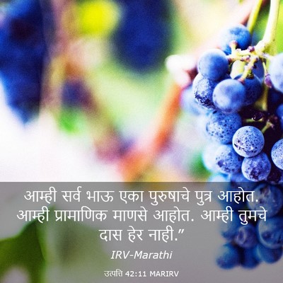 Picture 03 - उत्पत्ति 42:11 MARIRV - आम्ही सर्व भाऊ एका - Bible Verse Picture