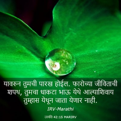Picture 03 - उत्पत्ति 42:15 MARIRV - यावरुन तुमची पारख - Bible Verse Picture