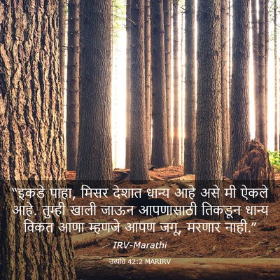 Picture 03 - उत्पत्ति 42:2 MARIRV - “इकडे पाहा, मिसर - Bible Verse Picture