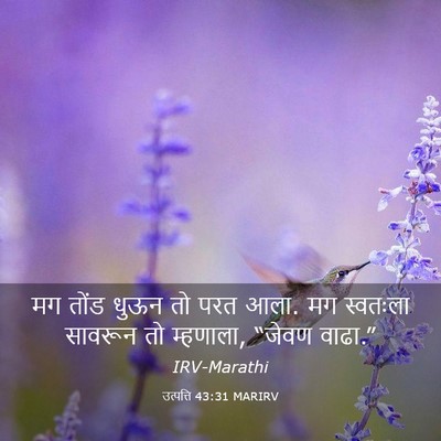 Picture 03 - उत्पत्ति 43:31 MARIRV - मग तोंड धुऊन तो परत - Bible Verse Picture