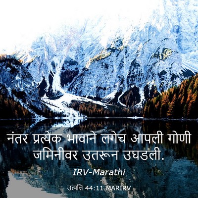 Picture 03 - उत्पत्ति 44:11 MARIRV - नंतर प्रत्येक - Bible Verse Picture