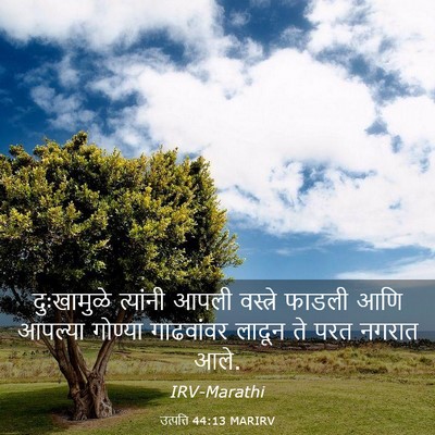 Picture 03 - उत्पत्ति 44:13 MARIRV - दुःखामुळे त्यांनी - Bible Verse Picture