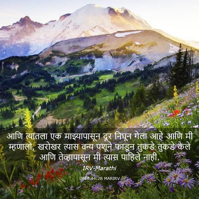 Picture 03 - उत्पत्ति 44:28 MARIRV - आणि त्यातला एक - Bible Verse Picture