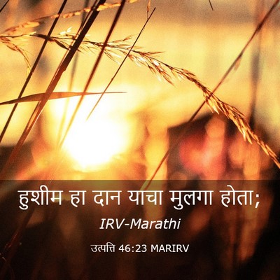 Picture 03 - उत्पत्ति 46:23 MARIRV - हुशीम हा दान याचा - Bible Verse Picture