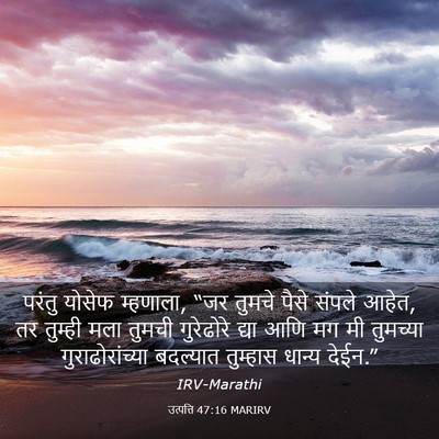 Picture 03 - उत्पत्ति 47:16 MARIRV - परंतु योसेफ - Bible Verse Picture