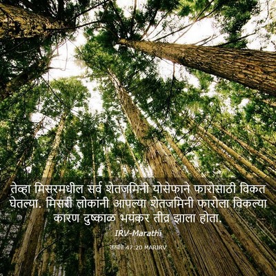 Picture 03 - उत्पत्ति 47:20 MARIRV - तेव्हा मिसरमधील - Bible Verse Picture