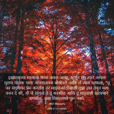Picture 03 - उत्पत्ति 47:29 MARIRV - इस्राएलाच्या - Bible Verse Picture