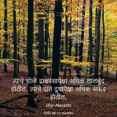 Picture 03 - उत्पत्ति 49:12 MARIRV - त्याचे डोळे - Bible Verse Picture