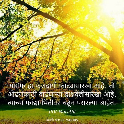 Picture 03 - उत्पत्ति 49:22 MARIRV - योसेफ हा फलदायी - Bible Verse Picture