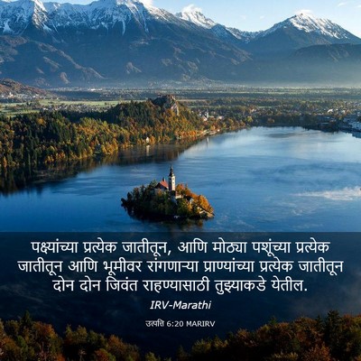 Picture 03 - उत्पत्ति 6:20 MARIRV - पक्ष्यांच्या - Bible Verse Picture