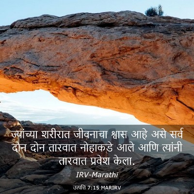 Picture 03 - उत्पत्ति 7:15 MARIRV - ज्यांच्या शरीरात - Bible Verse Picture