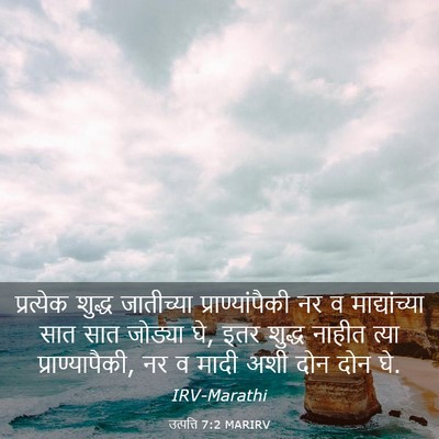 Picture 03 - उत्पत्ति 7:2 MARIRV - प्रत्येक शुद्ध - Bible Verse Picture