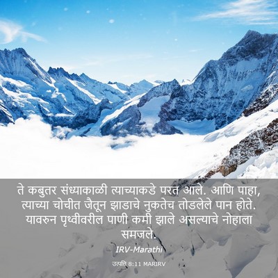 Picture 03 - उत्पत्ति 8:11 MARIRV - ते कबुतर - Bible Verse Picture