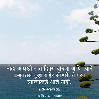 Picture 03 - उत्पत्ति 8:12 MARIRV - नोहा आणखी सात दिवस - Bible Verse Picture