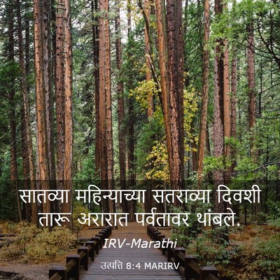 Picture 03 - उत्पत्ति 8:4 MARIRV - सातव्या - Bible Verse Picture