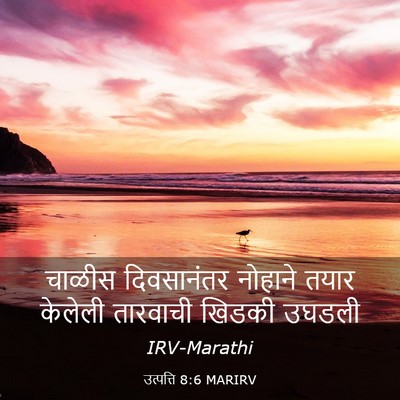 Picture 03 - उत्पत्ति 8:6 MARIRV - चाळीस दिवसानंतर - Bible Verse Picture