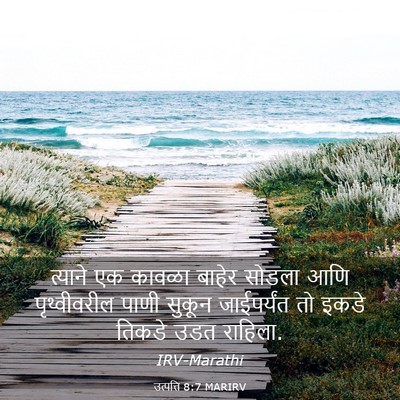 Picture 03 - उत्पत्ति 8:7 MARIRV - त्याने एक कावळा - Bible Verse Picture