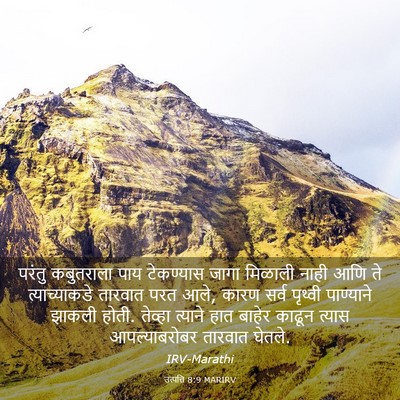 Picture 03 - उत्पत्ति 8:9 MARIRV - परंतु कबुतराला - Bible Verse Picture