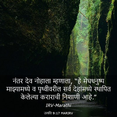 Picture 03 - उत्पत्ति 9:17 MARIRV - नंतर देव नोहाला - Bible Verse Picture