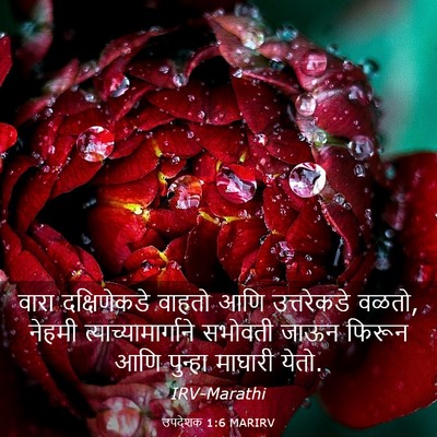 Picture 03 - उपदेशक 1:6 MARIRV - वारा दक्षिणेकडे - Bible Verse Picture
