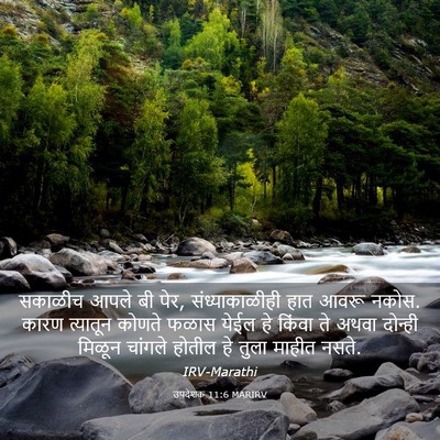 Picture 03 - उपदेशक 11:6 MARIRV - सकाळीच आपले बी पेर, - Bible Verse Picture