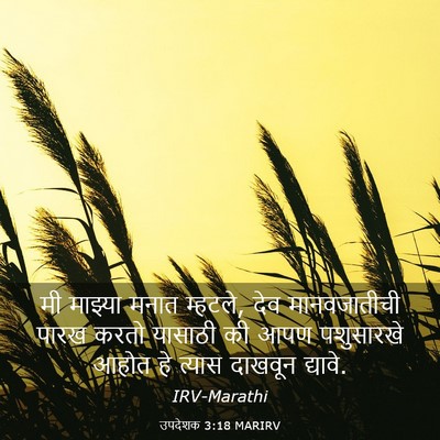 Picture 03 - उपदेशक 3:18 MARIRV - मी माझ्या मनात - Bible Verse Picture