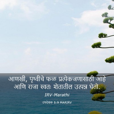 Picture 03 - उपदेशक 5:9 MARIRV - आणखी, पृथ्वीचे फळ - Bible Verse Picture