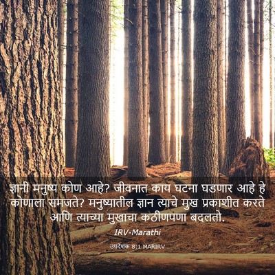 Picture 03 - उपदेशक 8:1 MARIRV - ज्ञानी मनुष्य कोण - Bible Verse Picture