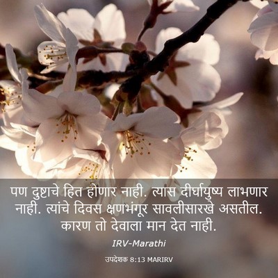 Picture 03 - उपदेशक 8:13 MARIRV - पण दुष्टाचे हित - Bible Verse Picture