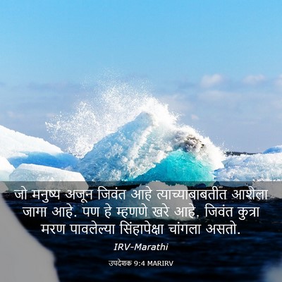 Picture 03 - उपदेशक 9:4 MARIRV - जो मनुष्य अजून - Bible Verse Picture