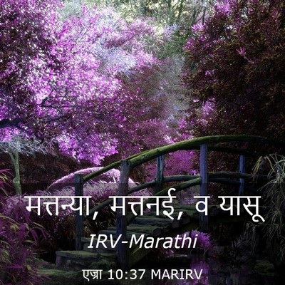Picture 03 - एज्रा 10:37 MARIRV - मत्तन्या, मत्तनई, व - Bible Verse Picture