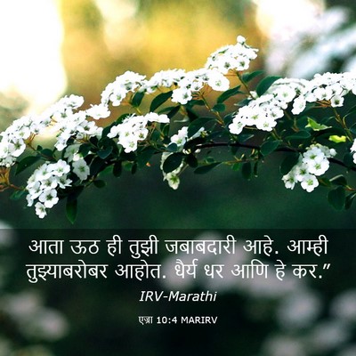 Picture 03 - एज्रा 10:4 MARIRV - आता ऊठ ही तुझी - Bible Verse Picture