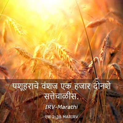 Picture 03 - एज्रा 2:38 MARIRV - पशूहराचे वंशज एक - Bible Verse Picture