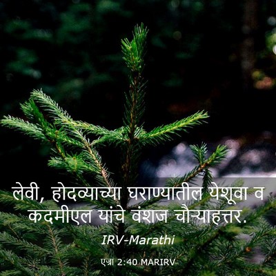 Picture 03 - एज्रा 2:40 MARIRV - लेवी, होदव्याच्या - Bible Verse Picture