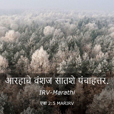Picture 03 - एज्रा 2:5 MARIRV - आरहाचे वंशज सातशे - Bible Verse Picture