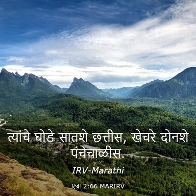 Picture 03 - एज्रा 2:66 MARIRV - त्यांचे घोडे - Bible Verse Picture
