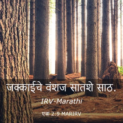 Picture 03 - एज्रा 2:9 MARIRV - जक्काईचे वंशज - Bible Verse Picture