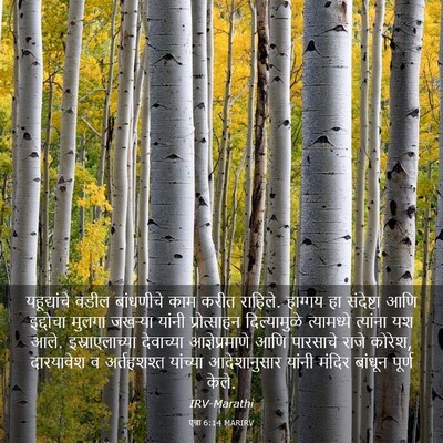 Picture 03 - एज्रा 6:14 MARIRV - यहूद्यांचे वडील - Bible Verse Picture
