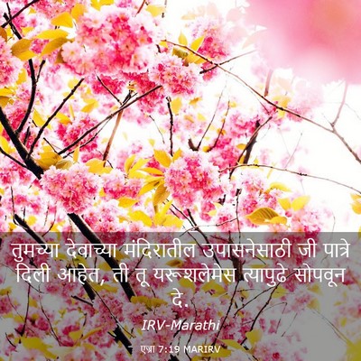 Picture 03 - एज्रा 7:19 MARIRV - तुमच्या देवाच्या - Bible Verse Picture