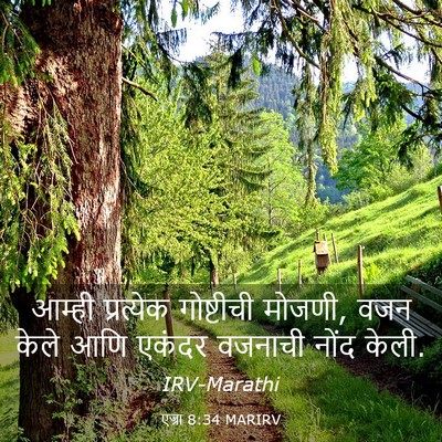 Picture 03 - एज्रा 8:34 MARIRV - आम्ही प्रत्येक - Bible Verse Picture