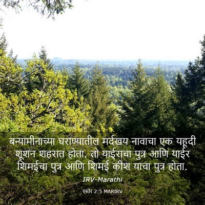 Picture 03 - एस्तेर 2:5 MARIRV - बन्यामीनाच्या - Bible Verse Picture