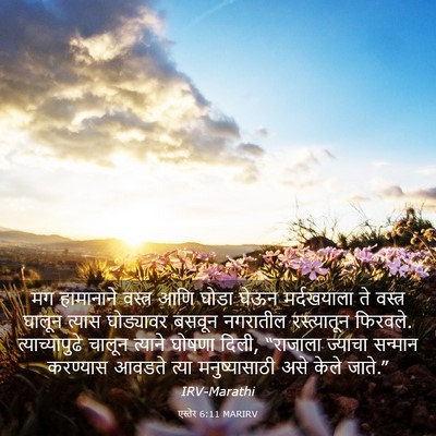 Picture 03 - एस्तेर 6:11 MARIRV - मग हामानाने - Bible Verse Picture